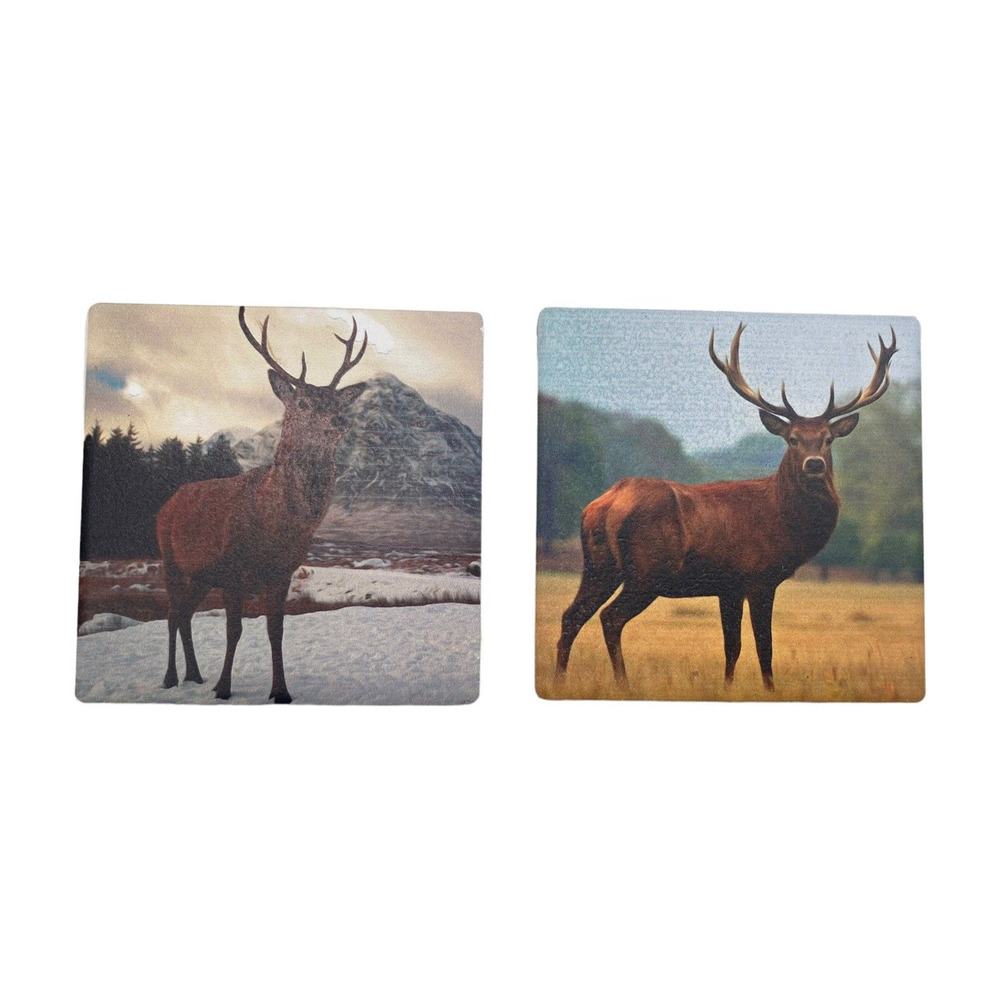 2pc Ceramic Coaster Set 3-1/4" Cork Backed Buck Deer Summer & Winter Majestic